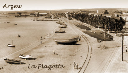 plagette